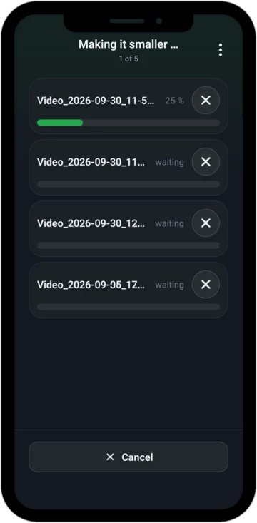 Progress: four of five videos have already been made smaller